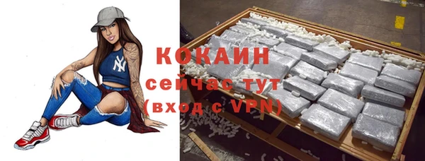 mdpv Новозыбков