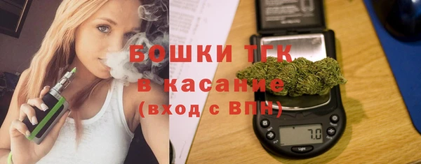 сатива Нязепетровск