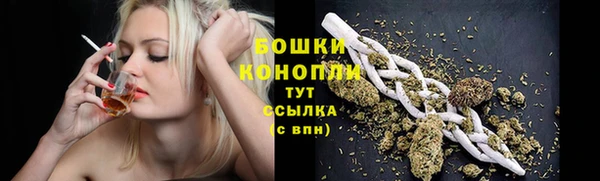 гидропоника Няндома