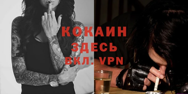 гидропоника Няндома
