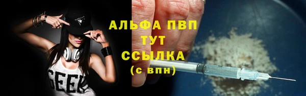 сатива Нязепетровск