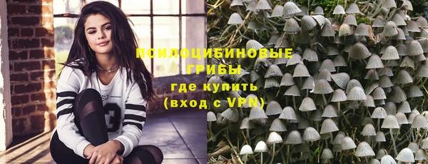 гидропоника Няндома