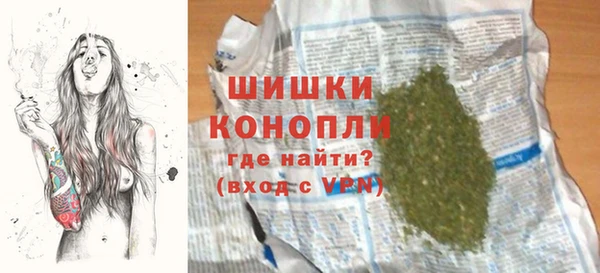 сатива Нязепетровск