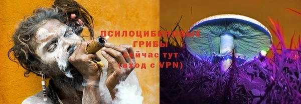 гидропоника Няндома