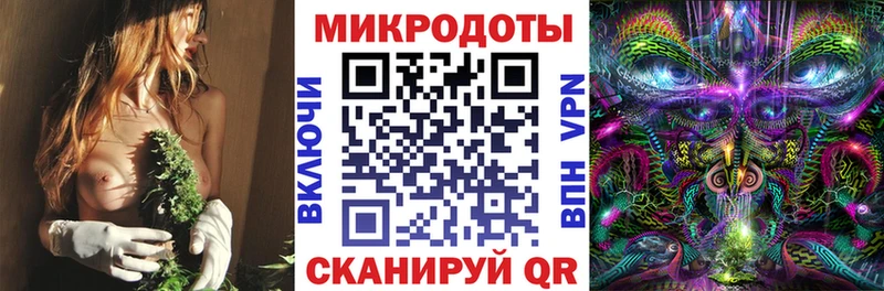 Псилоцибиновые грибы Cubensis Козловка